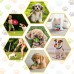 Dog Chew Toys for Puppy - 23 Pack Puppies Teething Chew Toys for Boredom, Pet Dog Toothbrush Chew Toys with Rope Toys, Treat Balls and Dog Squeaky Toy for Puppy and Small Dogs