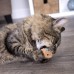 Chickadee Chirp Electronic Sound Cat Toy, Contains Catnip, Battery Powered - Light Brown, One Size